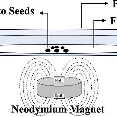  Neodymium: As Sementes Magnéticas da Revolução Tecnológica!