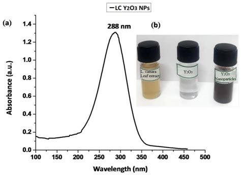 Yttrium Oxide Nanoparticles para Aplicações Avançadas de Revestimento e Catálise!